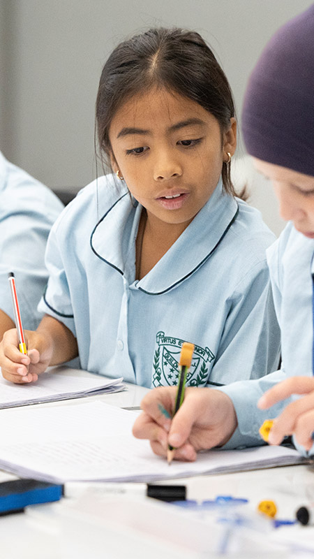 School Fees at St Patrick's Primary Guildford