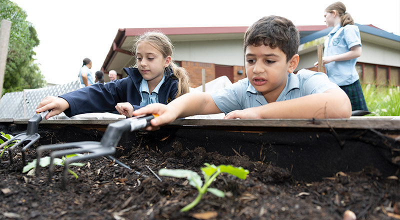 St Patrick's Catholic Primary School Guildford