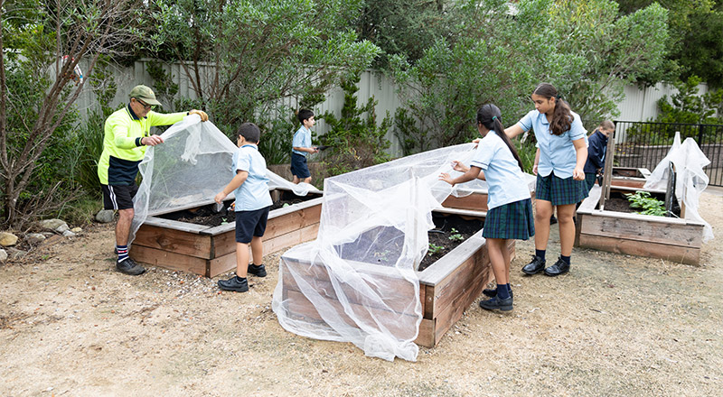 Garden St Patrick's Primary Guildford
