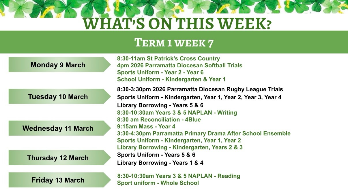 634973851765007_1385974749998243-1