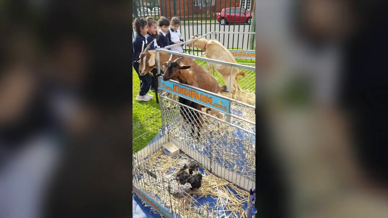 UExqS1lWTllqczR3UEt3Rk8zMnhhck03WjlUMUZpU0ZuMC41MjE1MkI0OTQ2QzJGNzNG-1